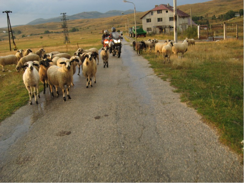 riYSs_durmitor09112.jpg