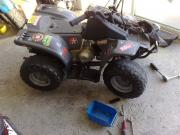 rv40fcq0lfzogf8603q_thumb.jpg