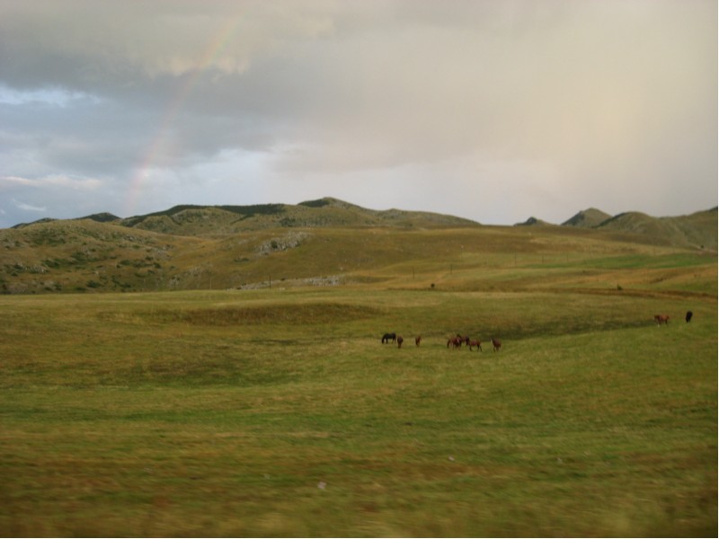 sP6pB_durmitor09132.jpg