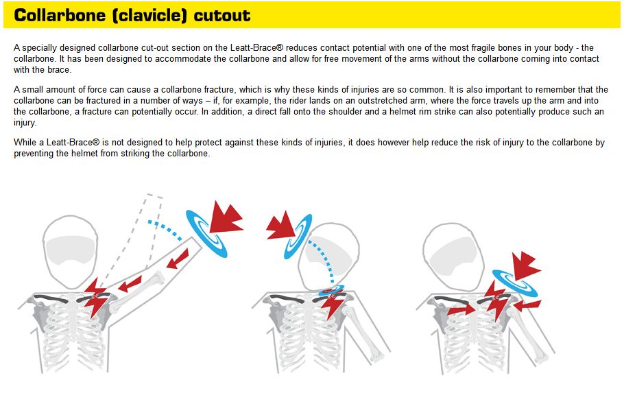 v1pUx_leattcollarbone.jpg