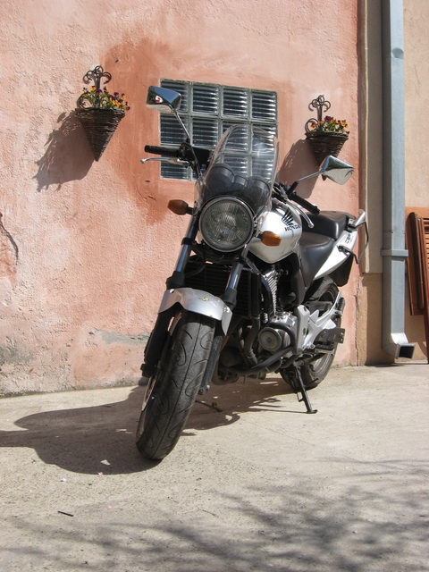 v81mh_img2062c.jpg