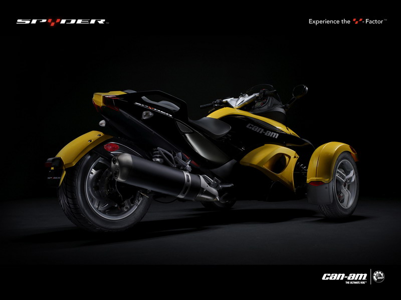 vDEwH_studio11024ennz4.jpg