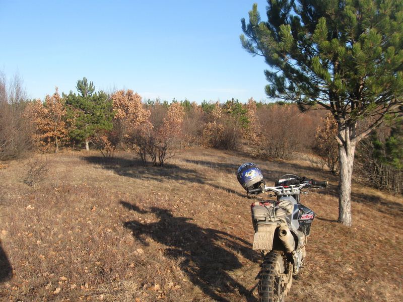 vihm0_img5708.jpg