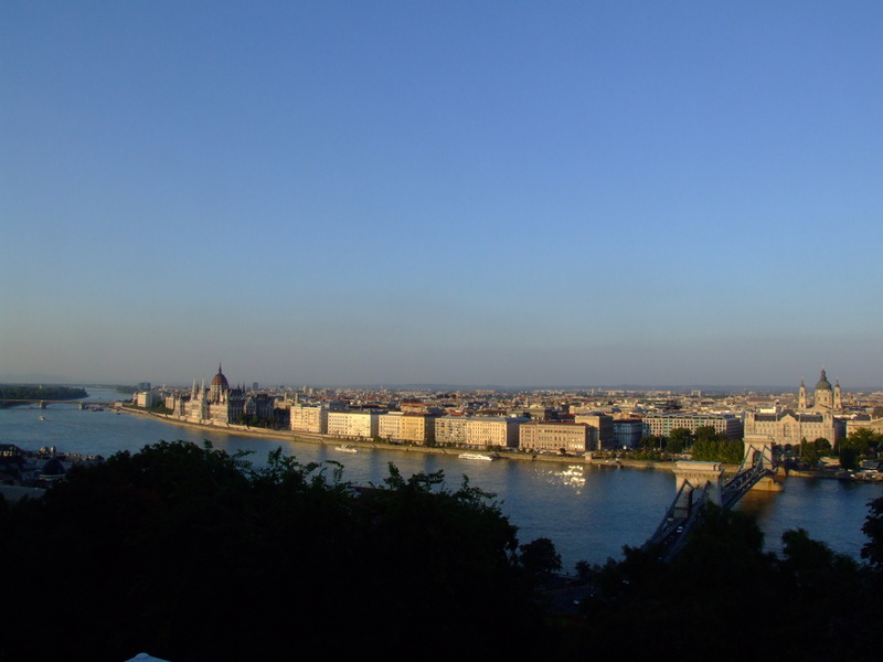 wFNIC_dscf1083yv.jpg