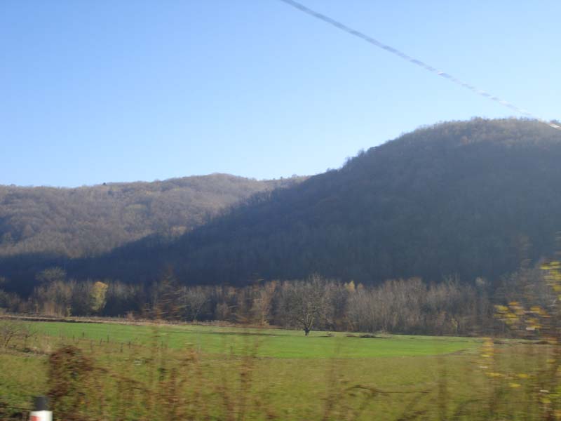 wPuyl_dsc01349e.jpg