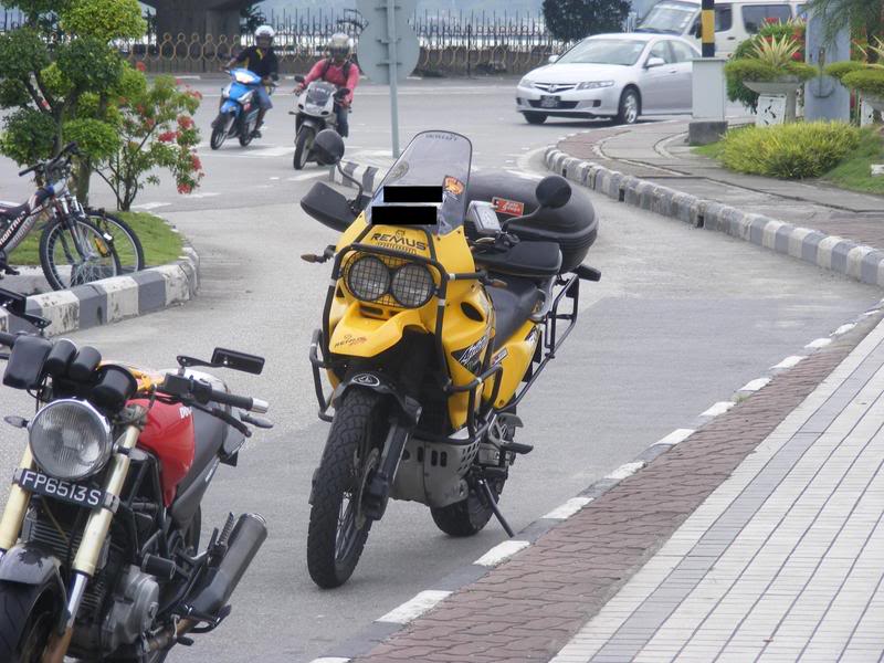 yellowafricatwin.jpg