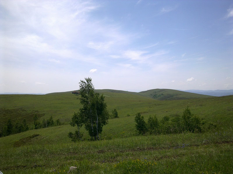 ygA9L_66642667.jpg