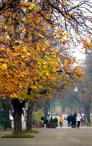 zJjM5_dscn2165.jpg