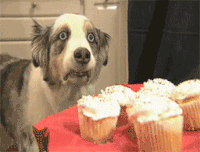 post-34454-0-74967400-1488218086.gif
