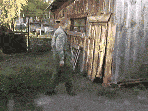 post-34454-0-95251300-1489774942.gif
