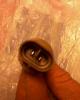 post-2028-12878996730739_thumb.jpg