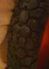 post-9138-12879073508052_thumb.jpg