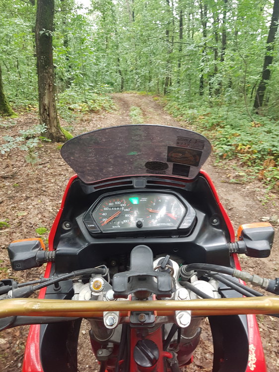 20180828_104637.jpg