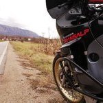 nikola.misic