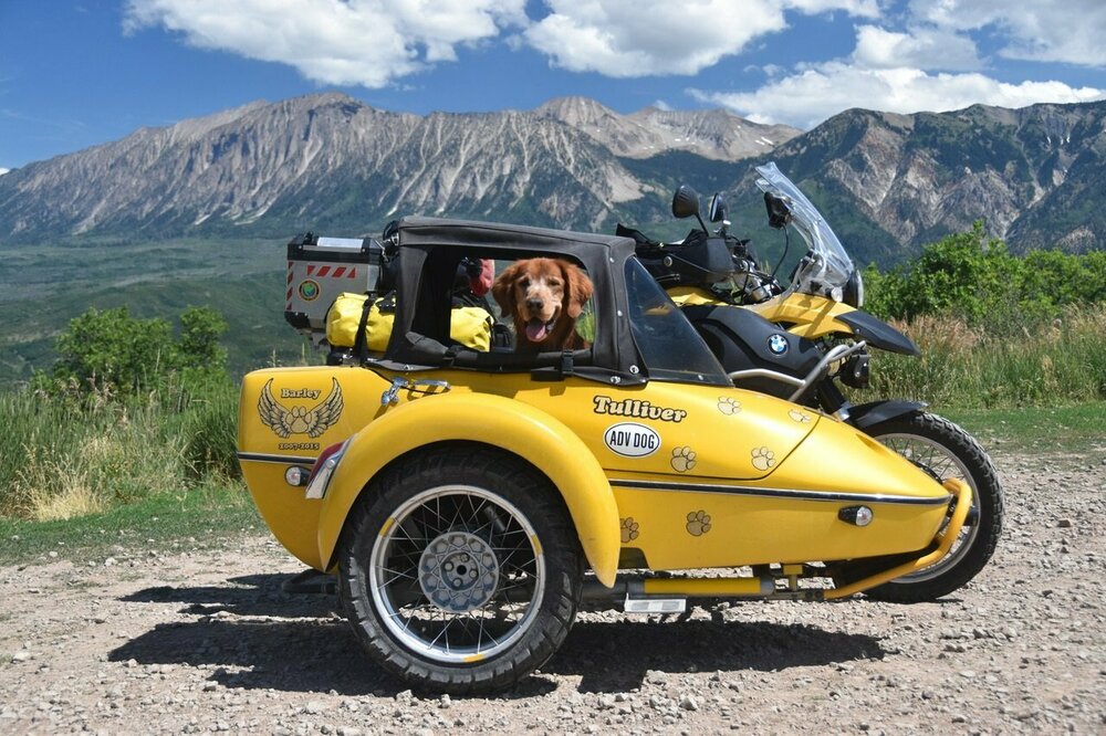 Sidecar_dogs_Kebler_Pass.jpg