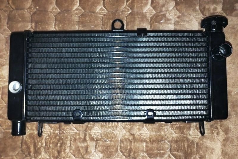 HondaHornethladnjak1.jpg.bc5c2ad20605c68fffeacc9ef7a1c7c4.jpg