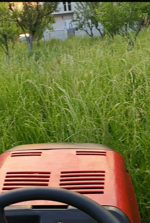 Screenshot_20250610_220537_com_hihonor_photos_SlotAlbumActivity.jpg