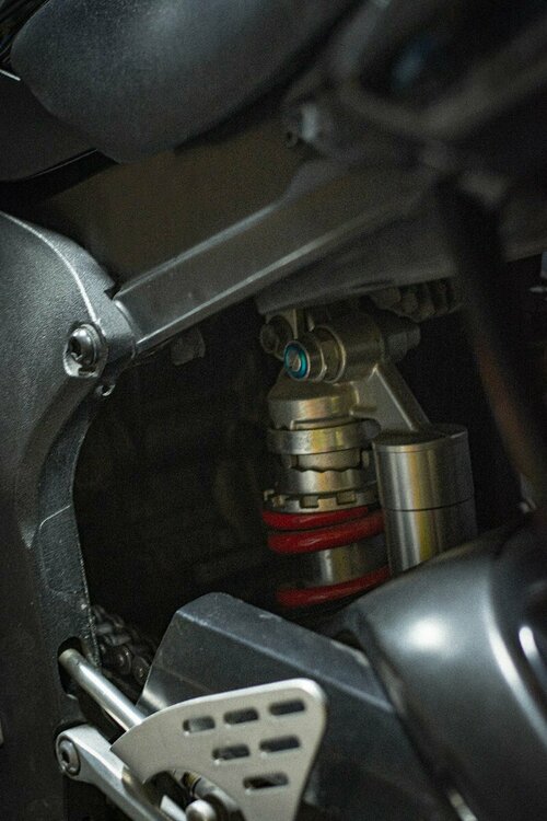 DSC_2957web.jpg