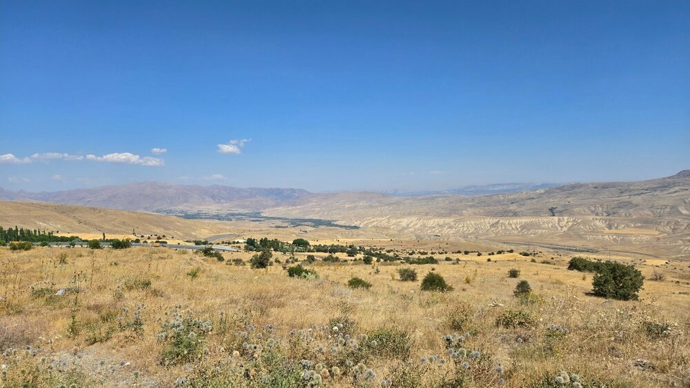 20250820_141215.jpg