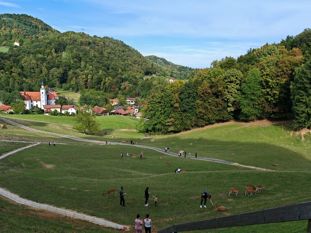 IMG_20250907_165128.thumb.jpg.6a7e1fd31c504559956eb0f830fdbd42.jpg