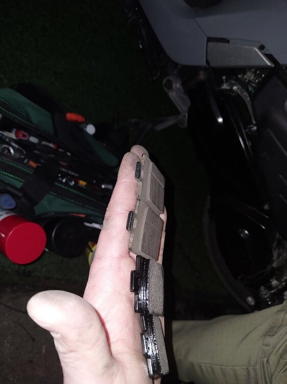 20260222_174922.thumb.jpg.2678433b529d5c7d5994f893b40dae65.jpg