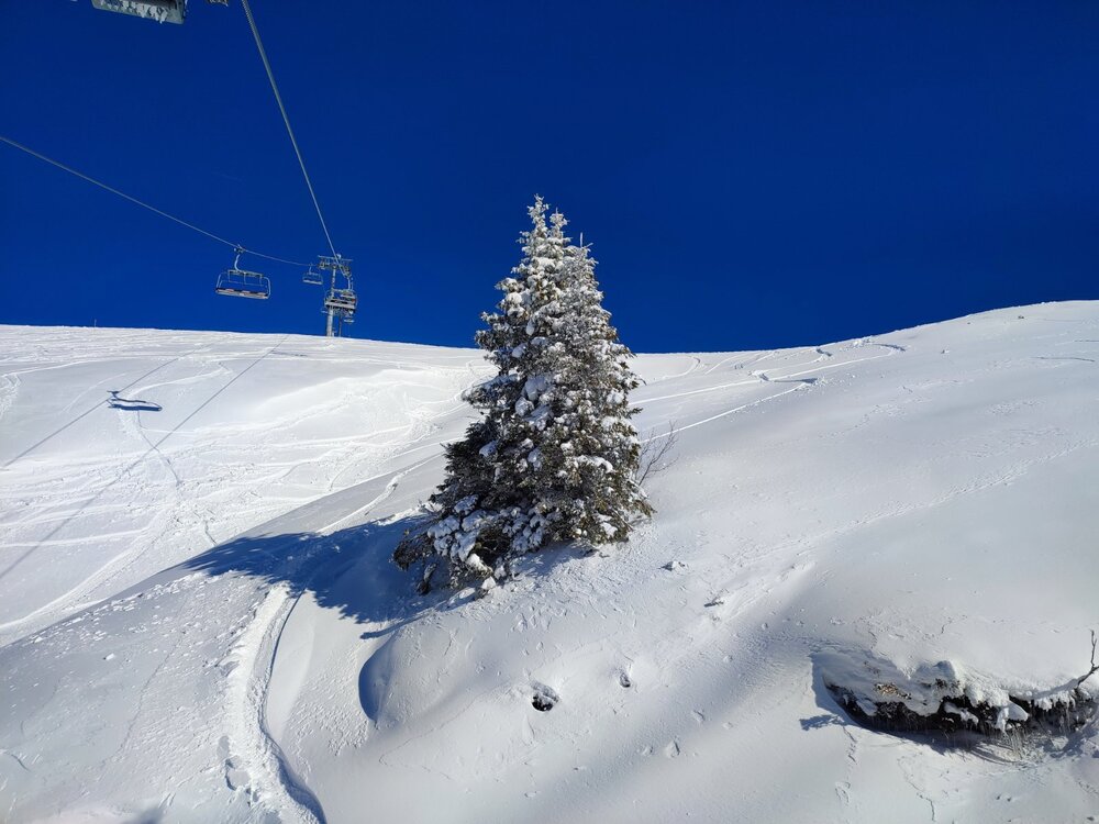 IMG_20260127_132526.thumb.jpg.8ee921aa9aa2f44f4f02186f4d5f5926.jpg