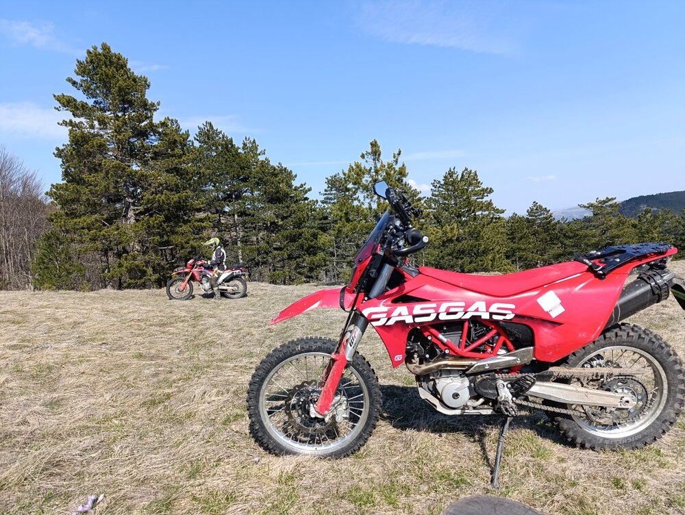 IMG_20260314_133730.jpg