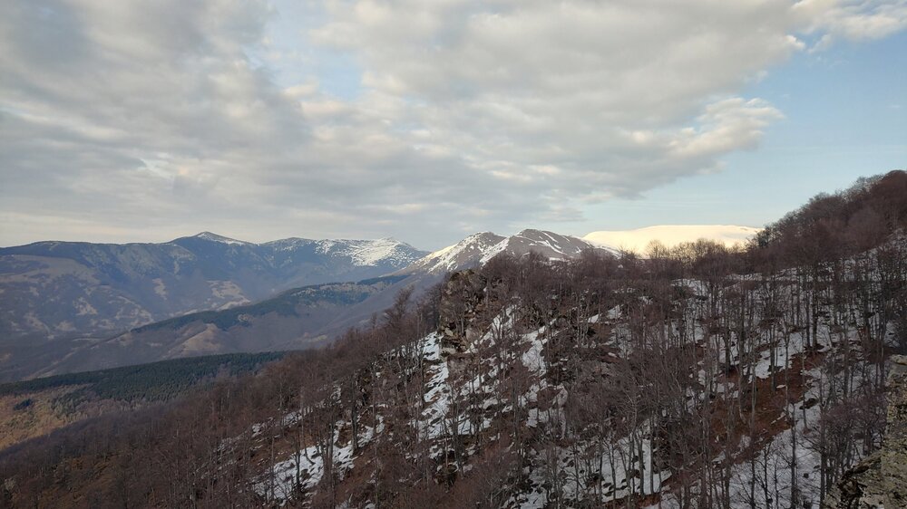 IMG_20260325_164009535_HDR.thumb.jpg.5cda504de546cd498a2280283e6893fc.jpg