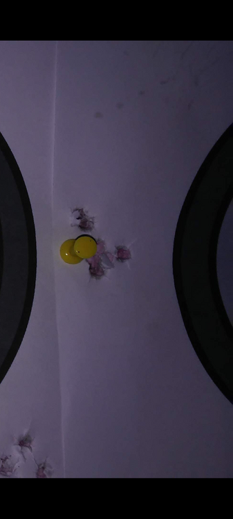 Screenshot_20260313-132445.png