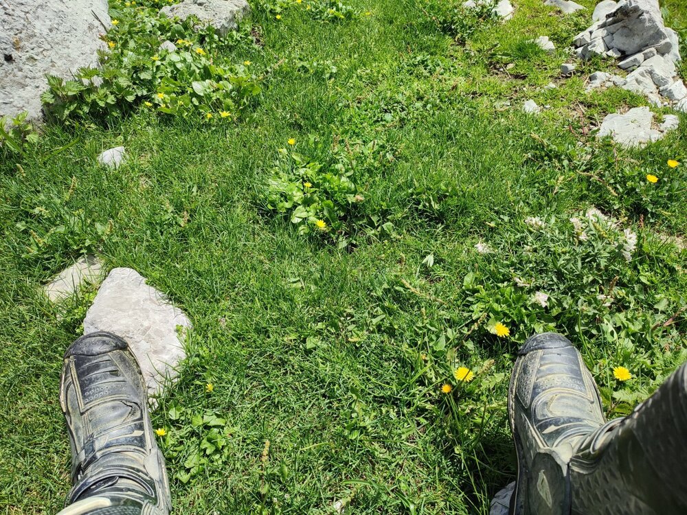 IMG_20260518_140148.thumb.jpg.258dcff94116e299e12a2e461c0d390f.jpg