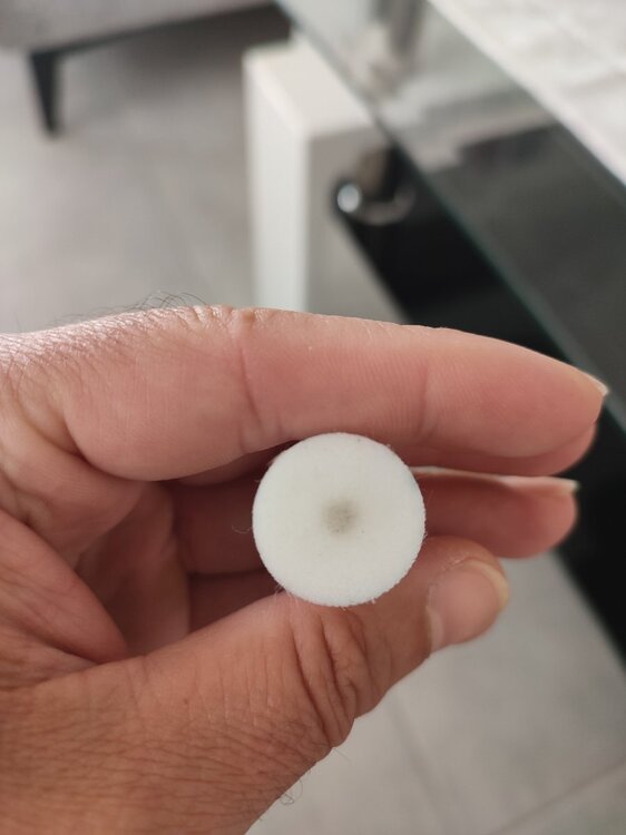 IMG_20260725_121452.thumb.jpg.5193c63da36d0bb7b8f2a7968f634a58.jpg