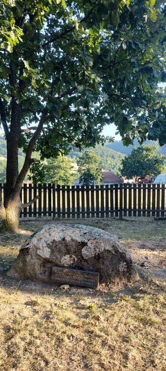IMG_20260815_181556251_HDR.jpg