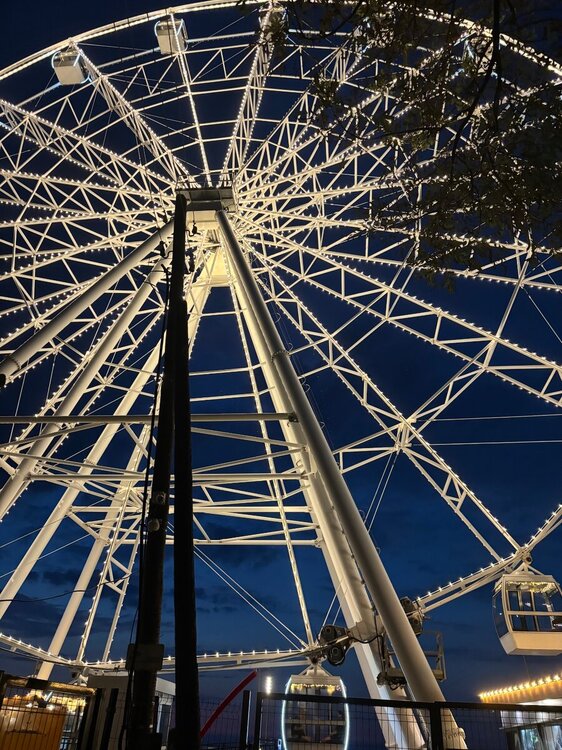 IMG_2119.jpeg