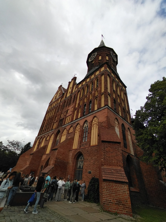 IMG_2230.png