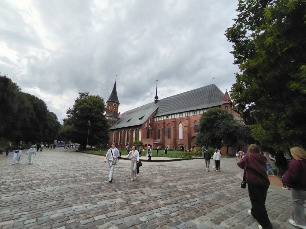 IMG_2233.png