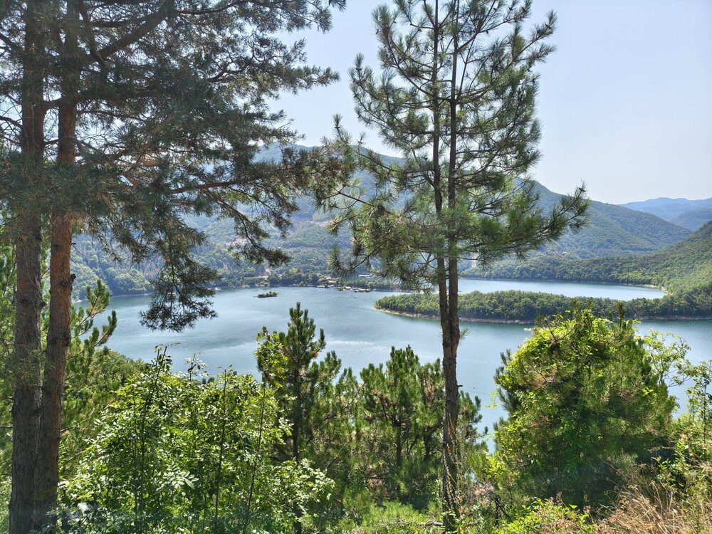 IMG_20260829_130154803_HDR.thumb.jpg.d267aa9703bb5c0e6686f36fe5723f5f.jpg