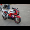 srdjan_035